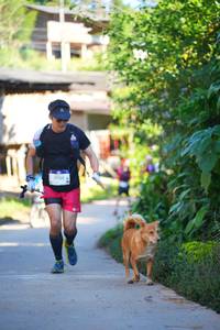 BIB: 
                            <button type="button" onclick="openModal(19337348)" class="btn btn-primary btn-sm float-right btn-popup" data-toggle="modal" data-target=".modal-high-quality">
                        <i class="fas fa-shopping-cart"></i> Add to Cart
                    </button>
                                            <button type="button" onclick="isThisMe(19337348, true)" class="btn btn-success btn-sm float-right btn-popup btn-isme hidden" data-toggle="tooltip" data-placement="bottom" title="นี่คือรูปของคุณใช่ไหม คลิกที่นี่เพื่อเอาเข้าอัลบั้ม">
                        <i class="fas fa-plus"></i> Add to album
                    </button>
                    <button type="button" onclick="isThisMe(19337348, false)" class="btn btn-warning btn-sm float-right btn-popup btn-isnotme hidden">
                        <i class="fas fa-ban"></i> Remove from album
                    </button>